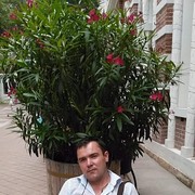 ���������� ������, ���� ������� ������, 44 ����, ������������ ��� ������, ����� � ���������, c�������� ���������