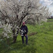 ���������� ����������, ���� ������� �������, 48 ���, ������������ ��� ������, ����� � ���������, ���������