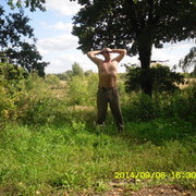  ,   , 70 ,   