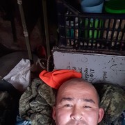  ,  , 43