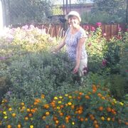 ���������� �����������, ���� ������� �����, 63 ����, ������������ ��� c�������� ���������, ���������