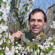 ���������� ٸ�����, ���� ������� C�����, 71 ���, ������������ ��� ������, ����� � ���������, c�������� ���������