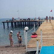 ���������� �����, ���� ������� Coitos, 38 ���, ������������ ��� ������, ����� � ���������, c�������� ���������