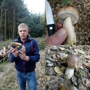 ���������� ������ ���, ���� ������� �������, 37 ���, ������������ ��� ������, ����� � ���������