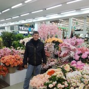  --,   , 46 ,   ,   , c 