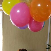 ���������� �������, ���� ������� �����, 47 ���, ������������ ��� ������, ����� � ���������