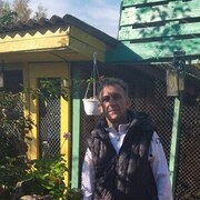  ,   , 58 ,     