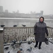 ���������� ����������, ���� ������� ����, 44 ����, ������������ ��� c�������� ���������