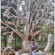  -,   , 34 ,   ,   