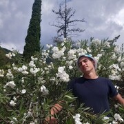  -,   , 27 ,     , c , 