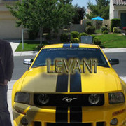  ,   Levani, 41 ,   