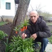  ,   , 59 ,   
