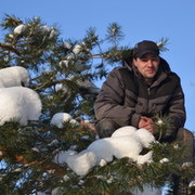 ���������� ��������, ���� ������� �������, 44 ����, ������������ ��� ������, ����� � ���������, c�������� ���������