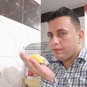  Al Ghardaqah,   Mahmoud, 36 ,   ,   