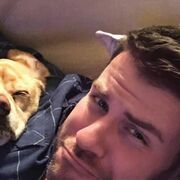 ���������� �����-���������, ���� ������� ���������, 44 ����, ������������ ��� ������, ����� � ���������, c�������� ���������