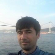  ,   Golib, 43 ,     , c , 