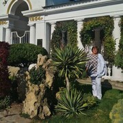   ,   , 57 ,   c , 