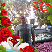 ���������� ����������, ������� ����, 55