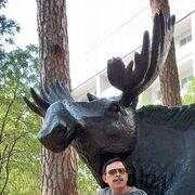 ���������� ������������, ���� ������� ������, 52 ����, ������������ ��� ������, ����� � ���������