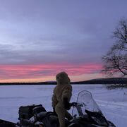 ���������� ������, �������