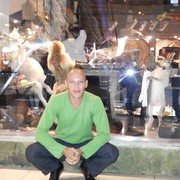  ,   Arhangel, 38 ,   