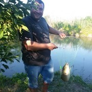  ,   , 46 ,  