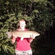 ���������� ��������, ���� ������� ������, 40 ���, ������������ ��� ������, ����� � ���������, c�������� ���������