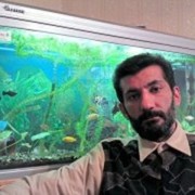  ,   Talnazik, 52 ,   ,   , c , 