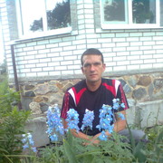 ���������� ������, ���� ������� ����, 44 ����, ������������ ��� ����� � ���������, c�������� ���������