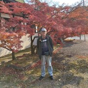 ���������� �����-���������, ���� ������� �������, 55 ���, ������������ ��� ������, ����� � ���������