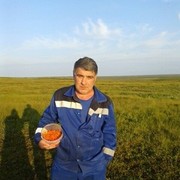  -,   , 53 ,  