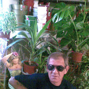  ,   , 56 ,   