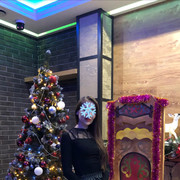 ���������� ������-��-����, ���� ������� ����, 40 ���, ������������ ��� ������, ����� � ���������, c�������� ���������