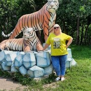 ���������� ����������, ���� ������� �����, 49 ���, ������������ ��� c�������� ���������