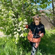 ���������� ���������, ���� ������� ���������, 65 ���, ������������ ��� ����� � ���������, c�������� ���������