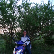  ,   , 44 ,   