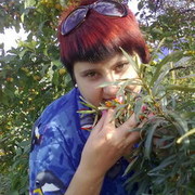 ���������� ������������, ���� ������� �������, 38 ���, ������������ ��� ����� � ���������, c�������� ���������