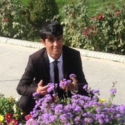 ���������� ������, ���� ������� ������ �����, 34 ����, ������������ ��� ������, ����� � ���������, c�������� ���������