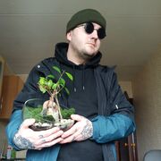 ���������� �����, ���� ������� �������, 32 ����, ������������ ��� ������, ����� � ���������