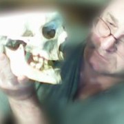  ,    , 56 ,  