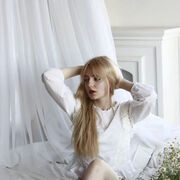 ���������� ������, ���� ������� ��������, 23 ����, ������������ ��� ������, ����� � ���������