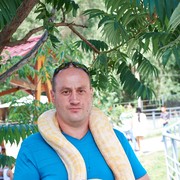 ���������� ������, ���� ������� ������, 49 ���, ������������ ��� ������, ����� � ���������, c�������� ���������