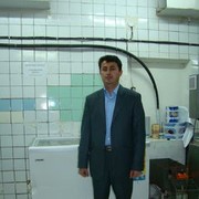  ,   , 50 ,   