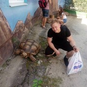 ���������� �������, ���� ������� �������, 32 ����, ������������ ��� ������, ����� � ���������, c�������� ���������