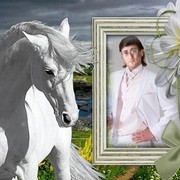   ,   , 44 ,   ,   , c , 