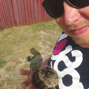 ���������� ������, ���� ������� ���������, 37 ���, ������������ ��� ������, ����� � ���������