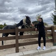 ���������� ������, ���� ����� Aksam, 23 ����, ������������ ��� ������, ����� � ���������