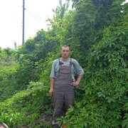  ,   , 46 ,   ,   , c , 