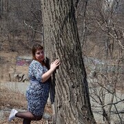 ���������� �����������, ���� ������� �����, 33 ����, ������������ ��� ���������