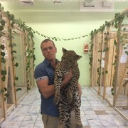 ���������� ���������, ������� �������, 38